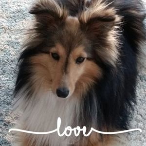 Meet your Posher, Lynn